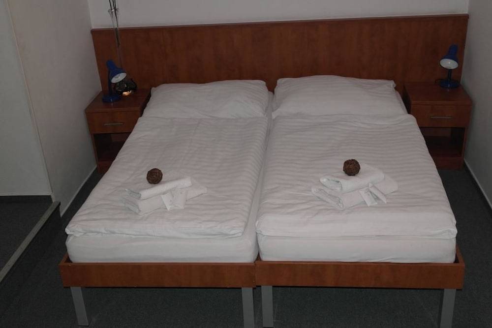 Wellness hotel Harrachovka 2