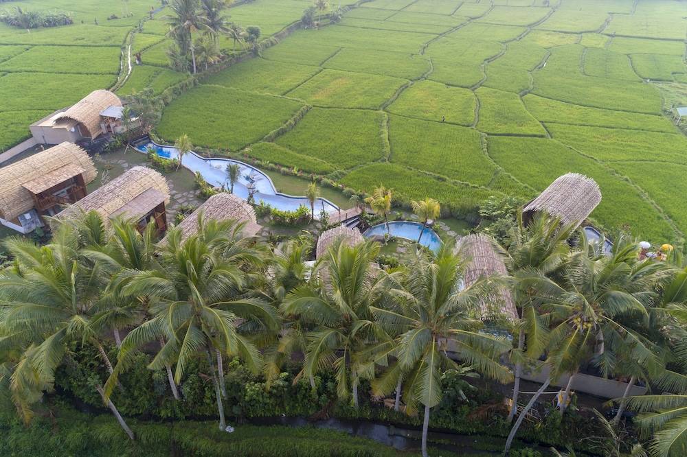 Beehouse Dijiwa Ubud 1