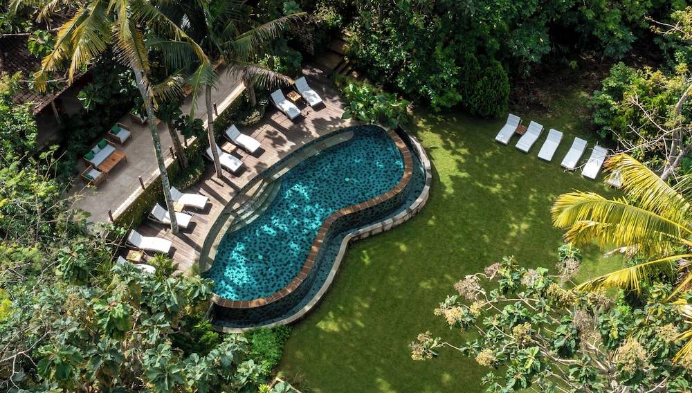 The Mesare Jungle Resort 1