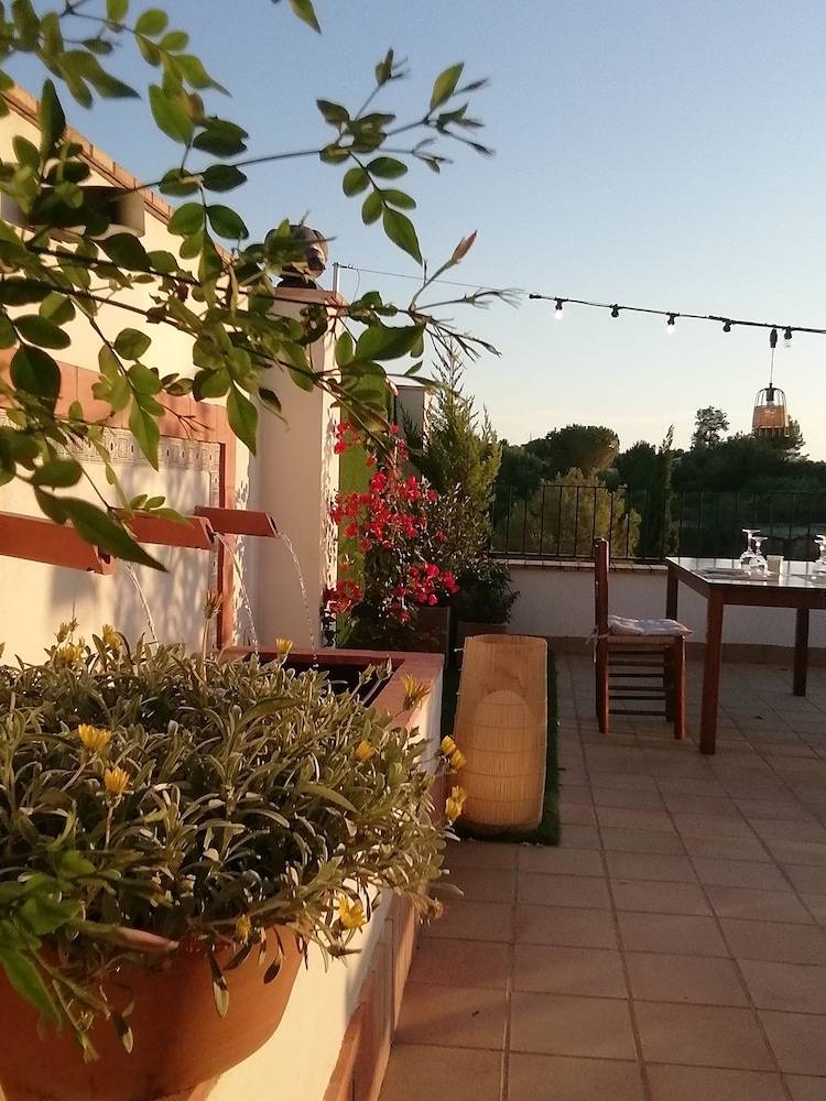 Hotel La Sitja - Adults only 1