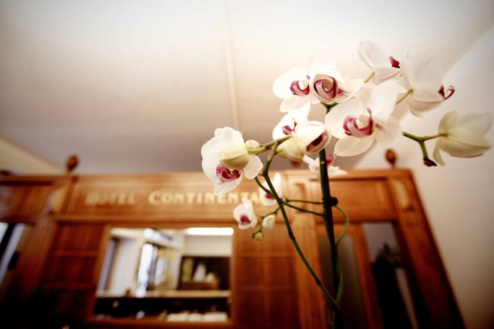 Hotel Continental 2