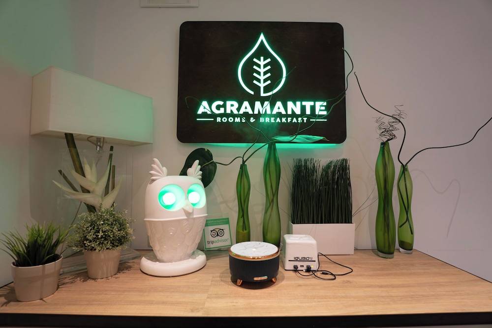 Agramante 1
