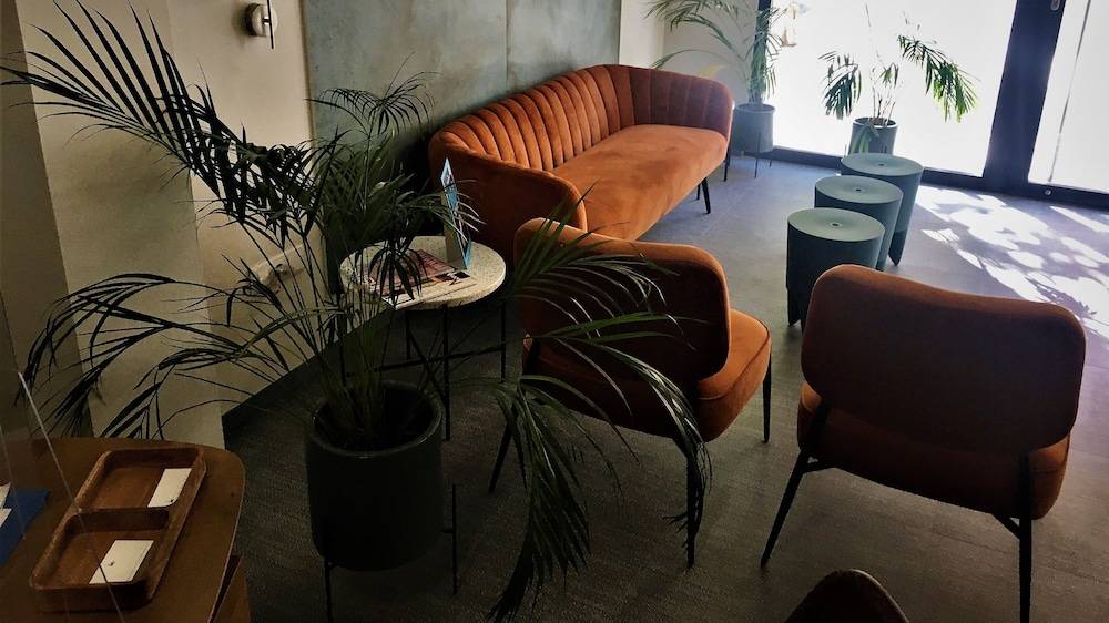 MD Modern Hotel - Jardines 2