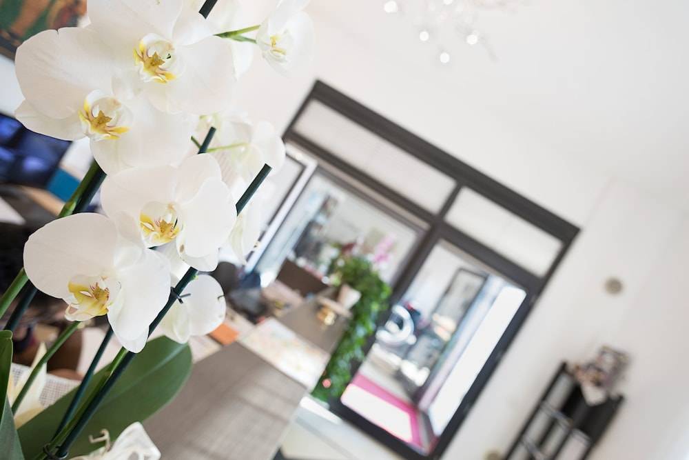 Verona Class ApartHotel "Residenze del Cuore" 2