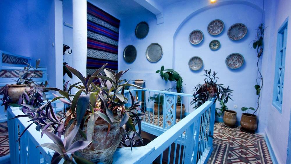 Hotel Casa Miguel 2