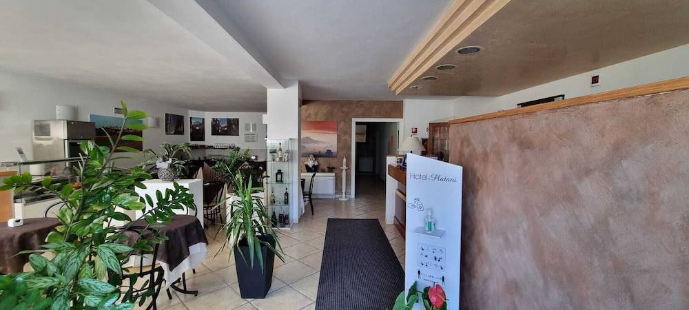 Hotel I Platani 2