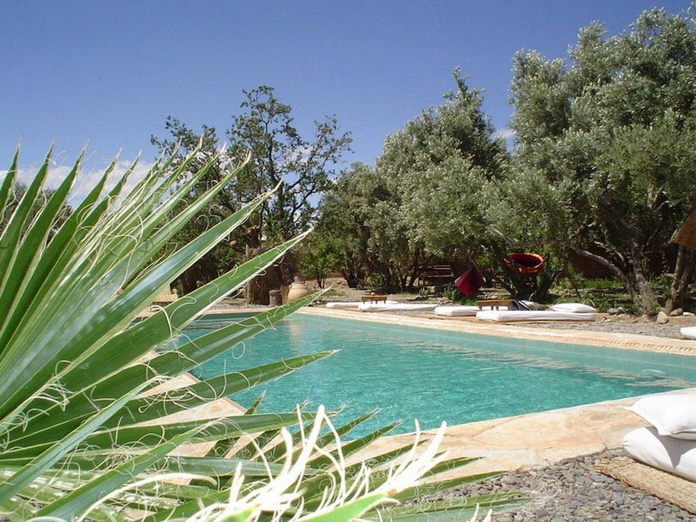 Les Jardins de Skoura 1