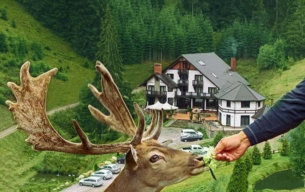 Mi Chalet - Poiana Izvoarelor 1