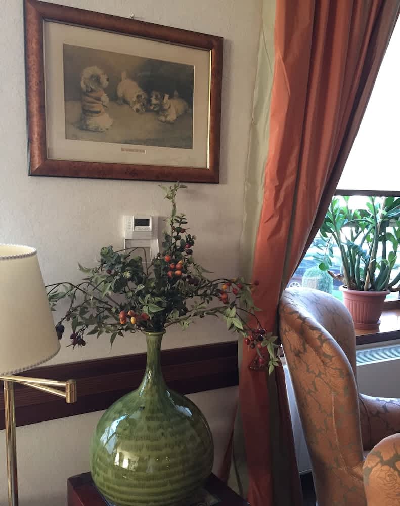 Hotel Bristol 2