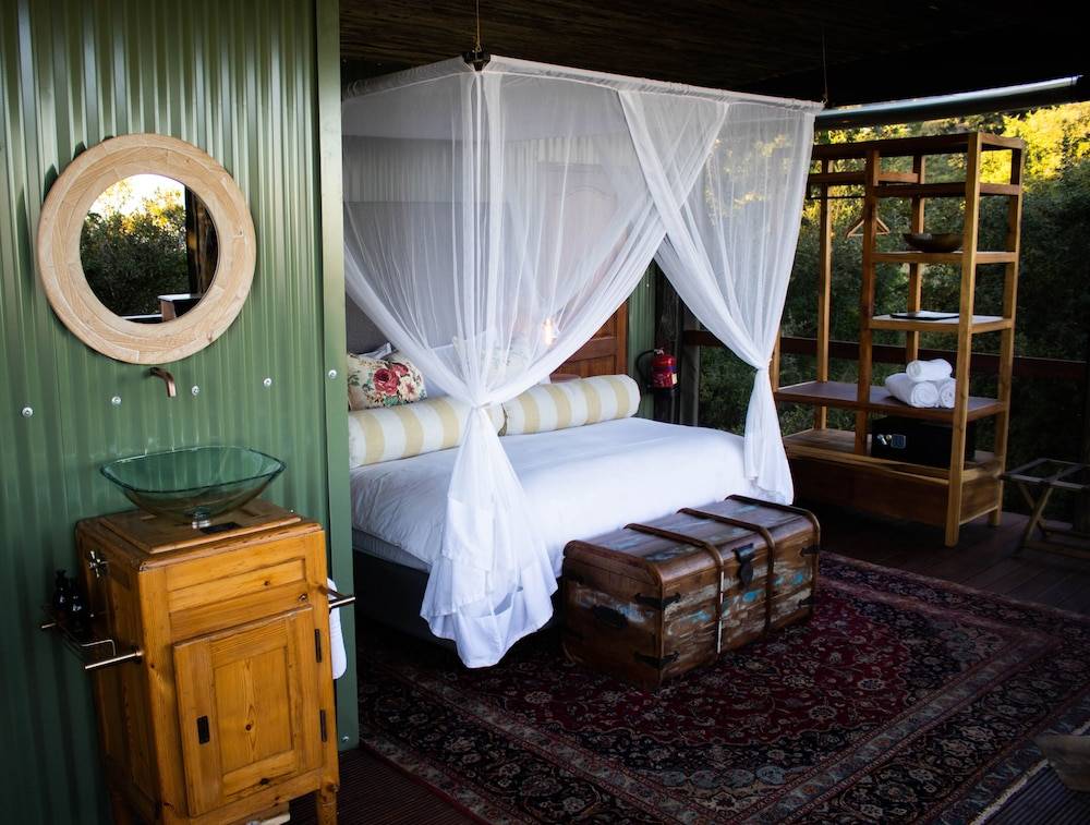 Camp Figtree by The Oyster Collection 2