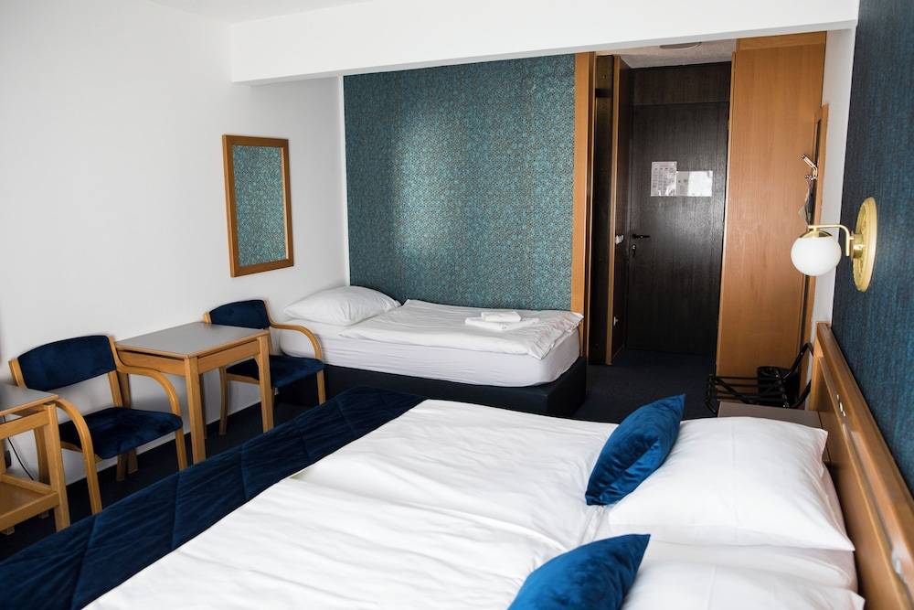 Hotel Alp 1