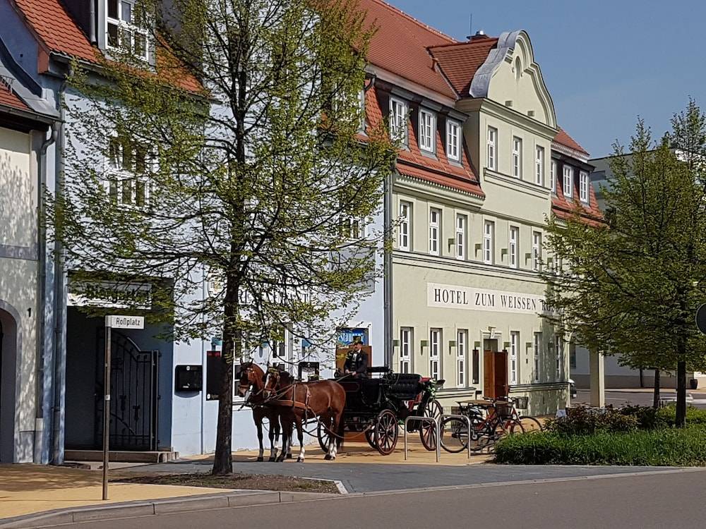 Hotel Zum Weissen Ross 1