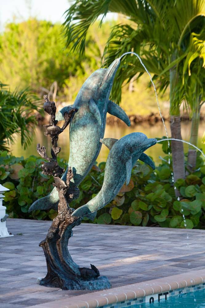 Dolphin Cove 1