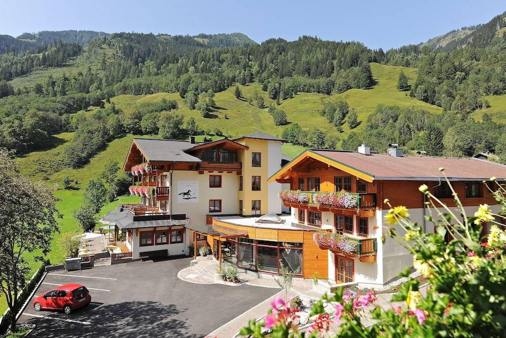 Feriendorf Ponyhof 1