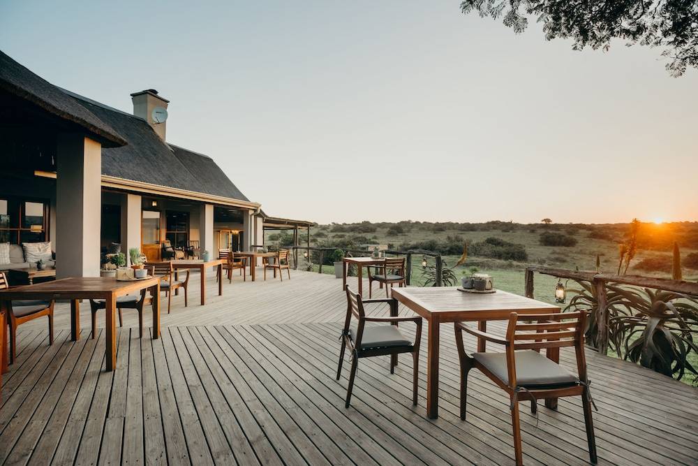 Hlosi Game Lodge - Amakhala Game Reserve 1