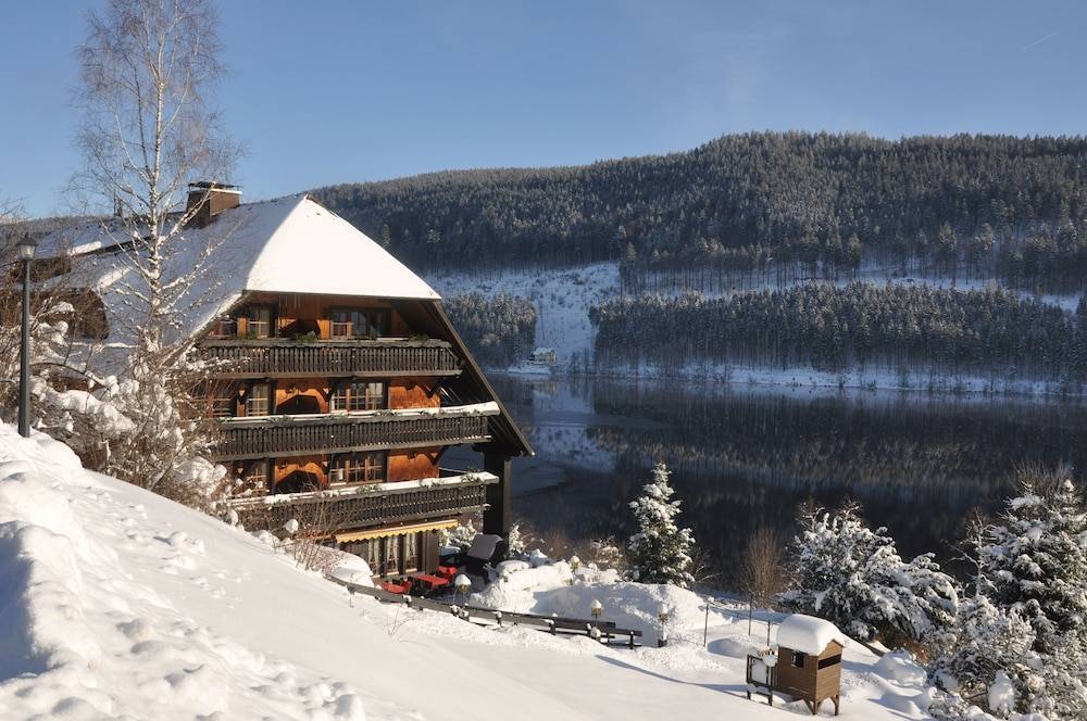 Alemannenhof - Boutique Hotel am Titisee 1