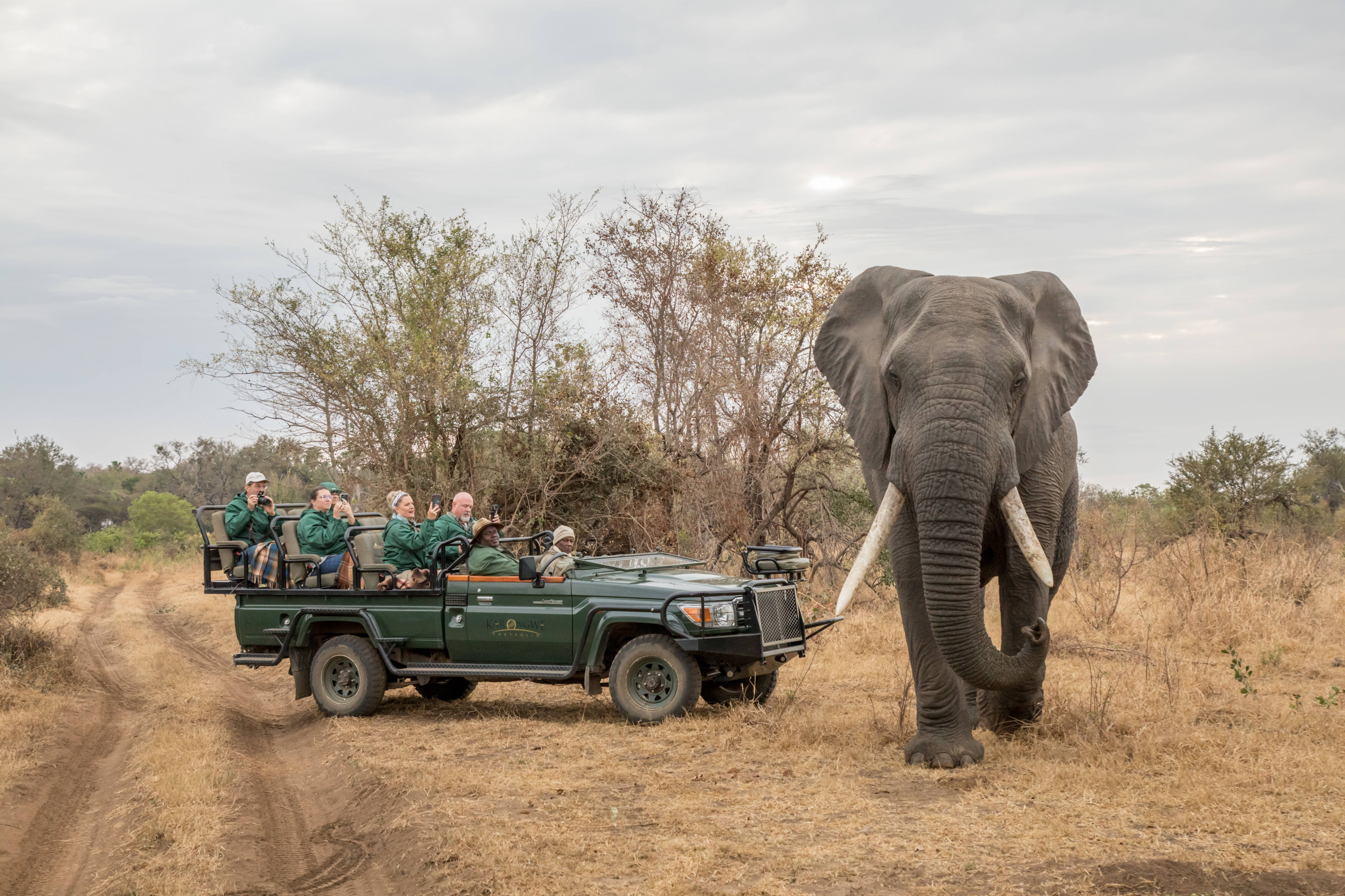 Karongwe- Shiduli Safari Lodge 1