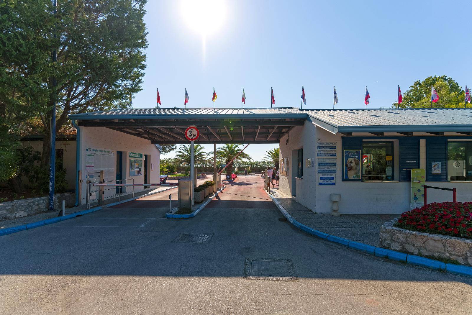 Camping Village Pino Mare 1