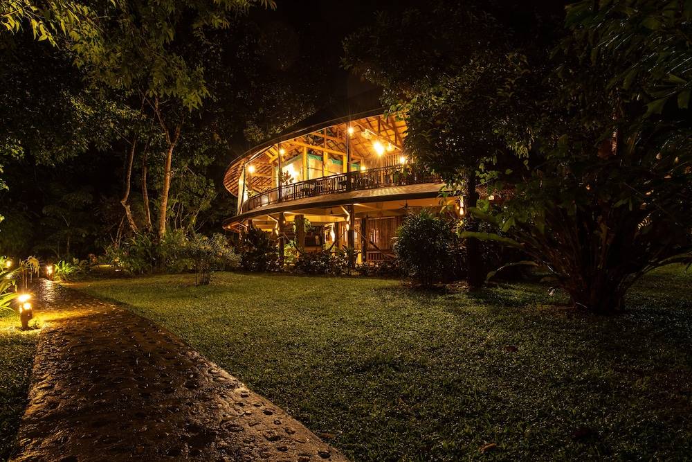 Our Jungle Camp 1