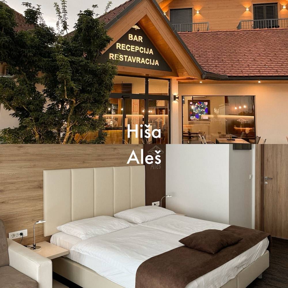 Hiša Aleš 1