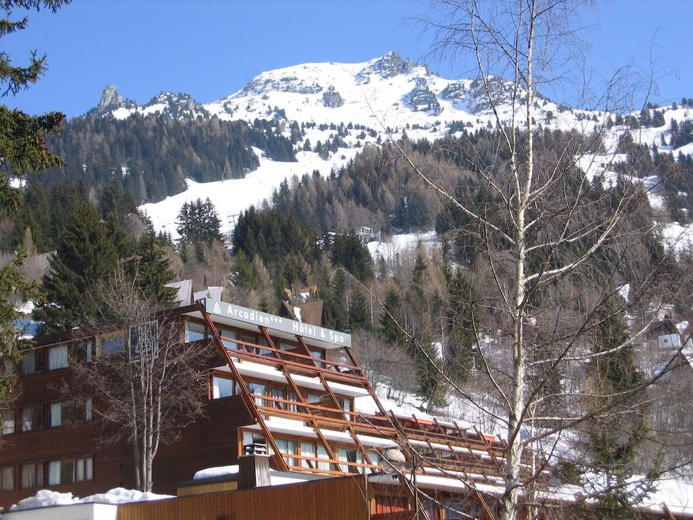 Hôtel Arcadien 1