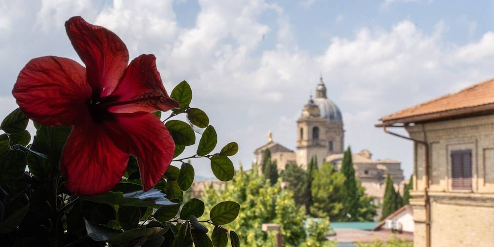 Hotel Mom Assisi 1