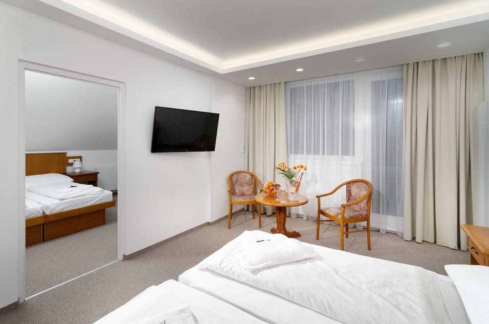 Wellness Hotel Astra 2