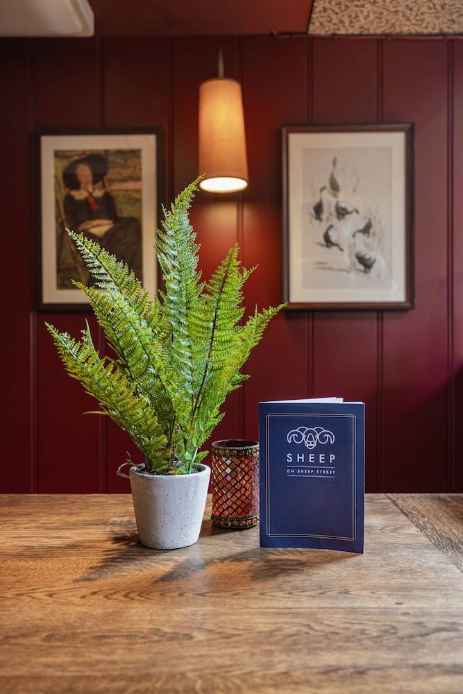 The Sheep on Sheep Street Hotel 2