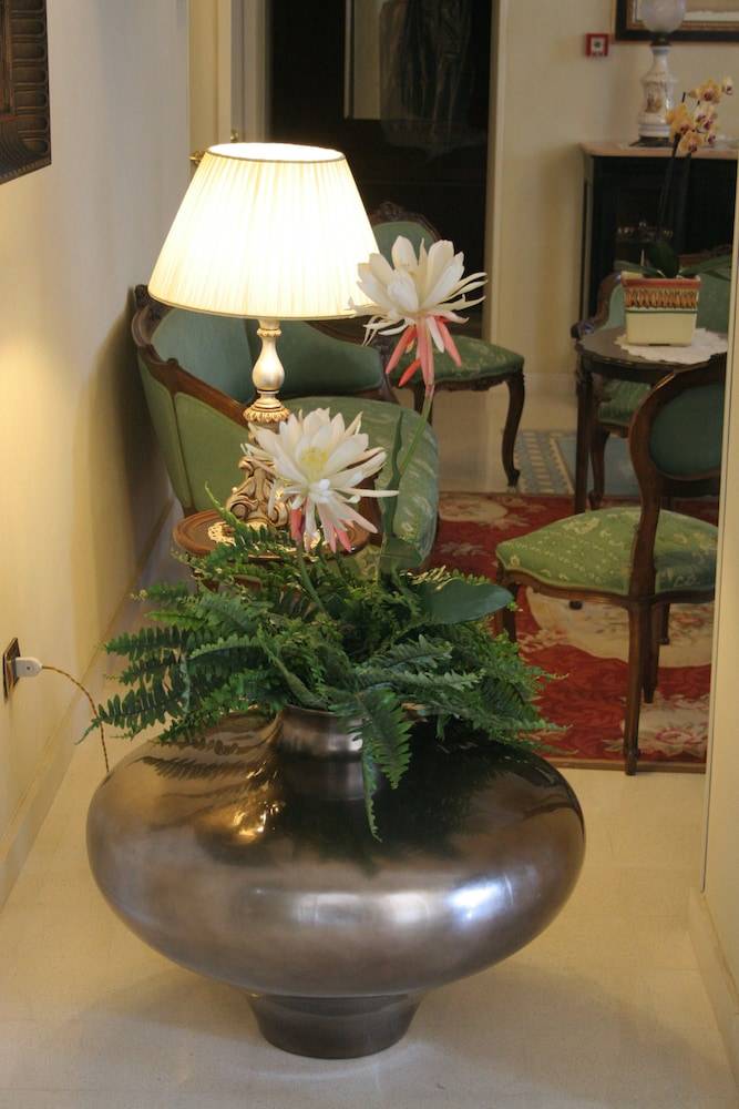 Domus Mariae Benessere 2