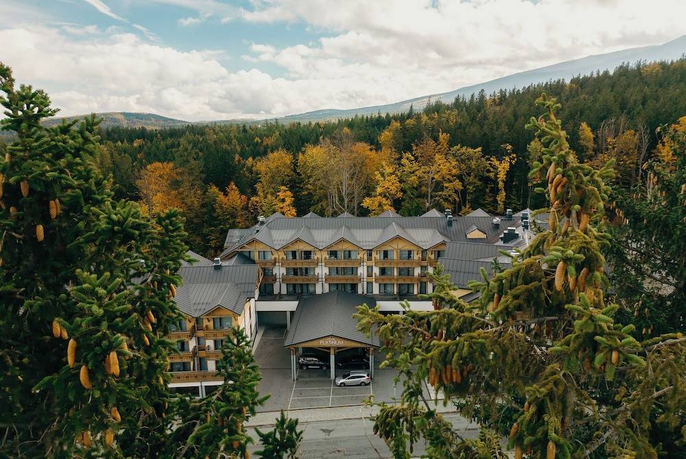 Platinum Mountain Hotel&SPA 1