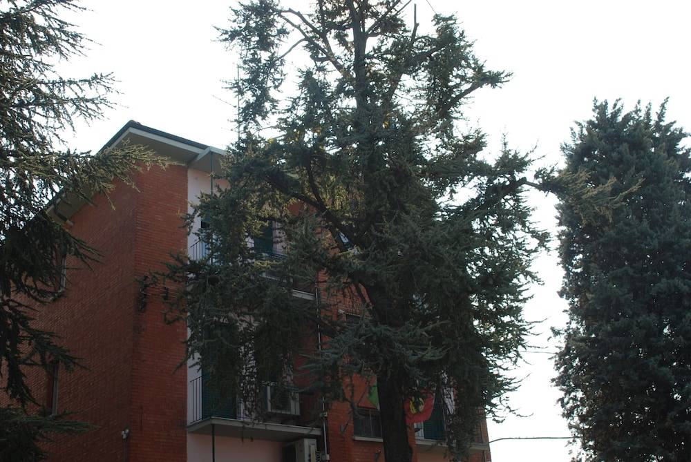 Hotel Tuscolano 1