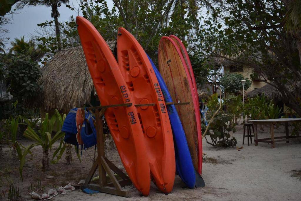 Hotel Isla Del Pirata 1