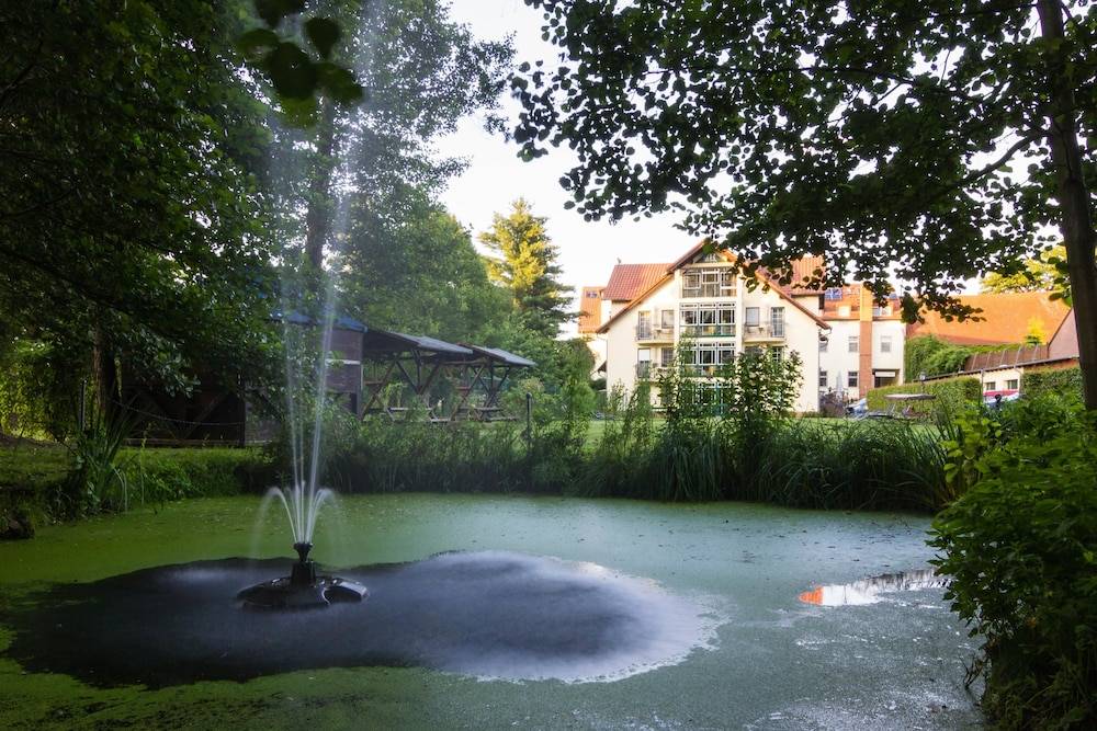 Hotel & Restaurant Am Alten Rhin 1