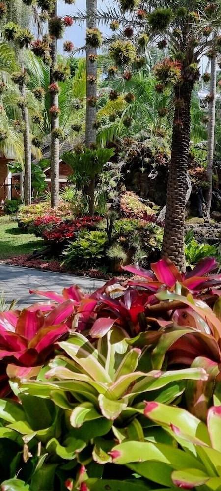 Coco Palm Beach Resort 1