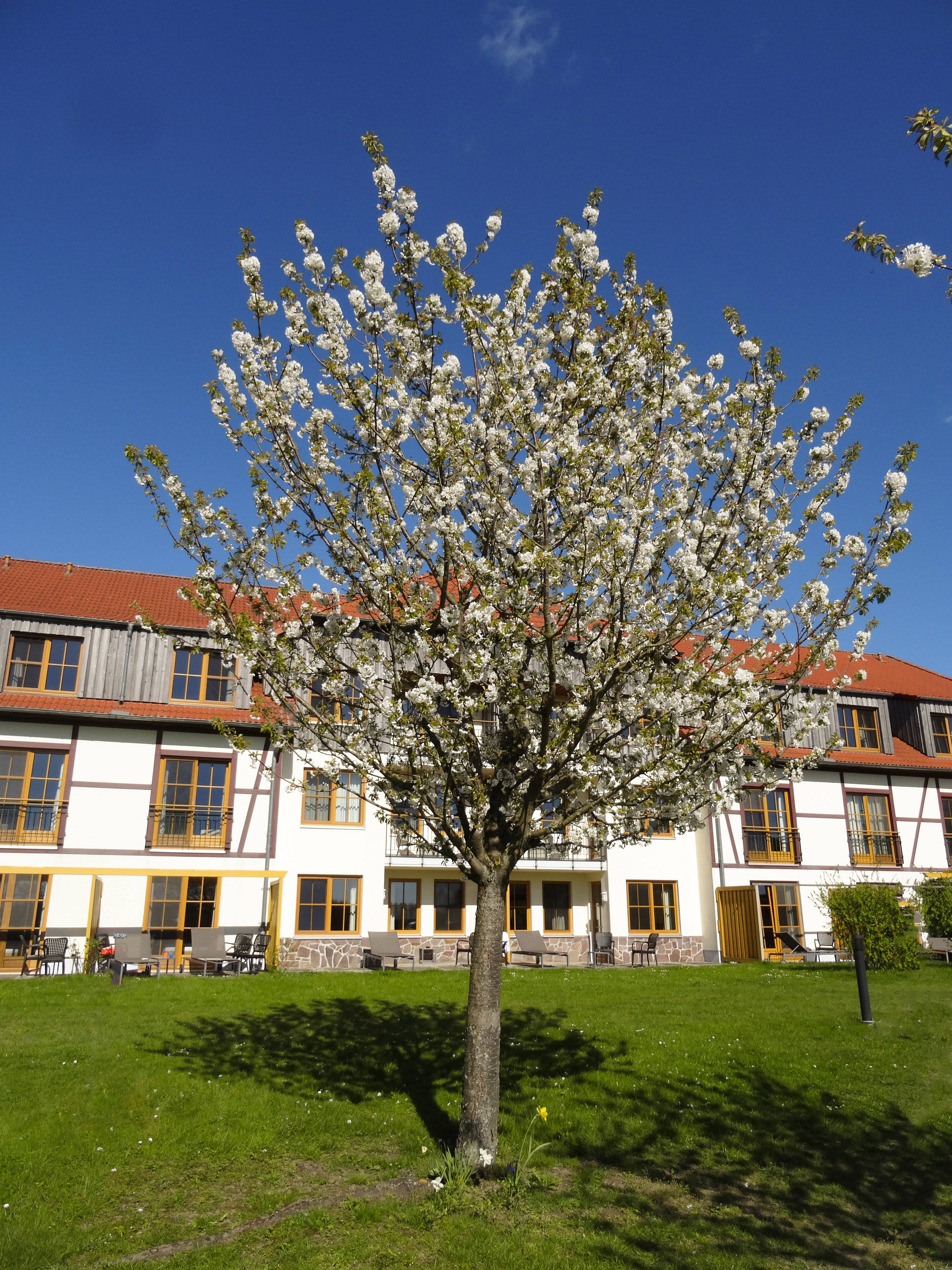 ROBINSON Fleesensee 1