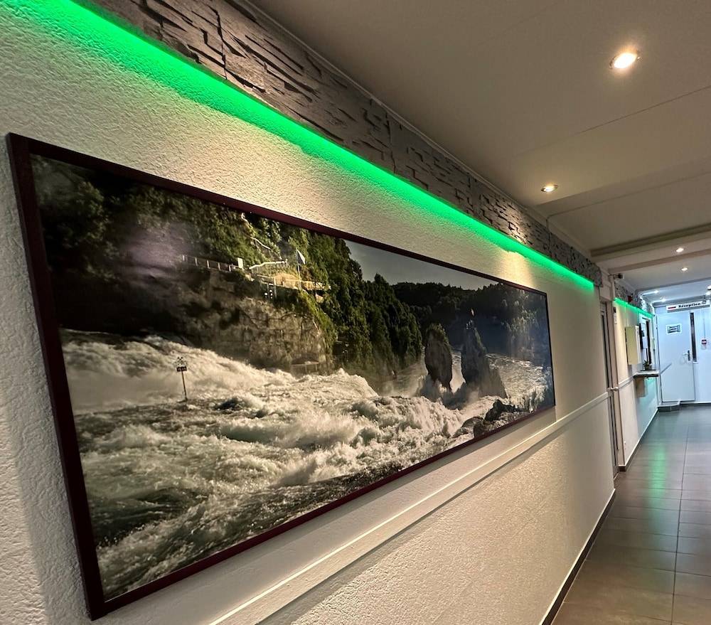 Hotel Rheinfall 2