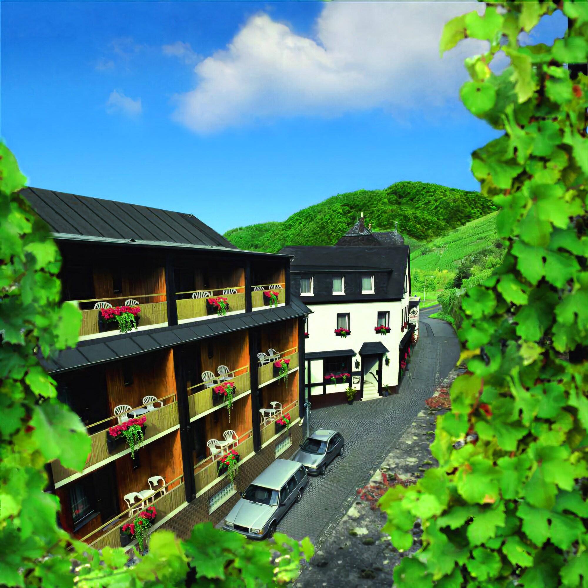 Moselstern Hotel Zum guten Onkel 2