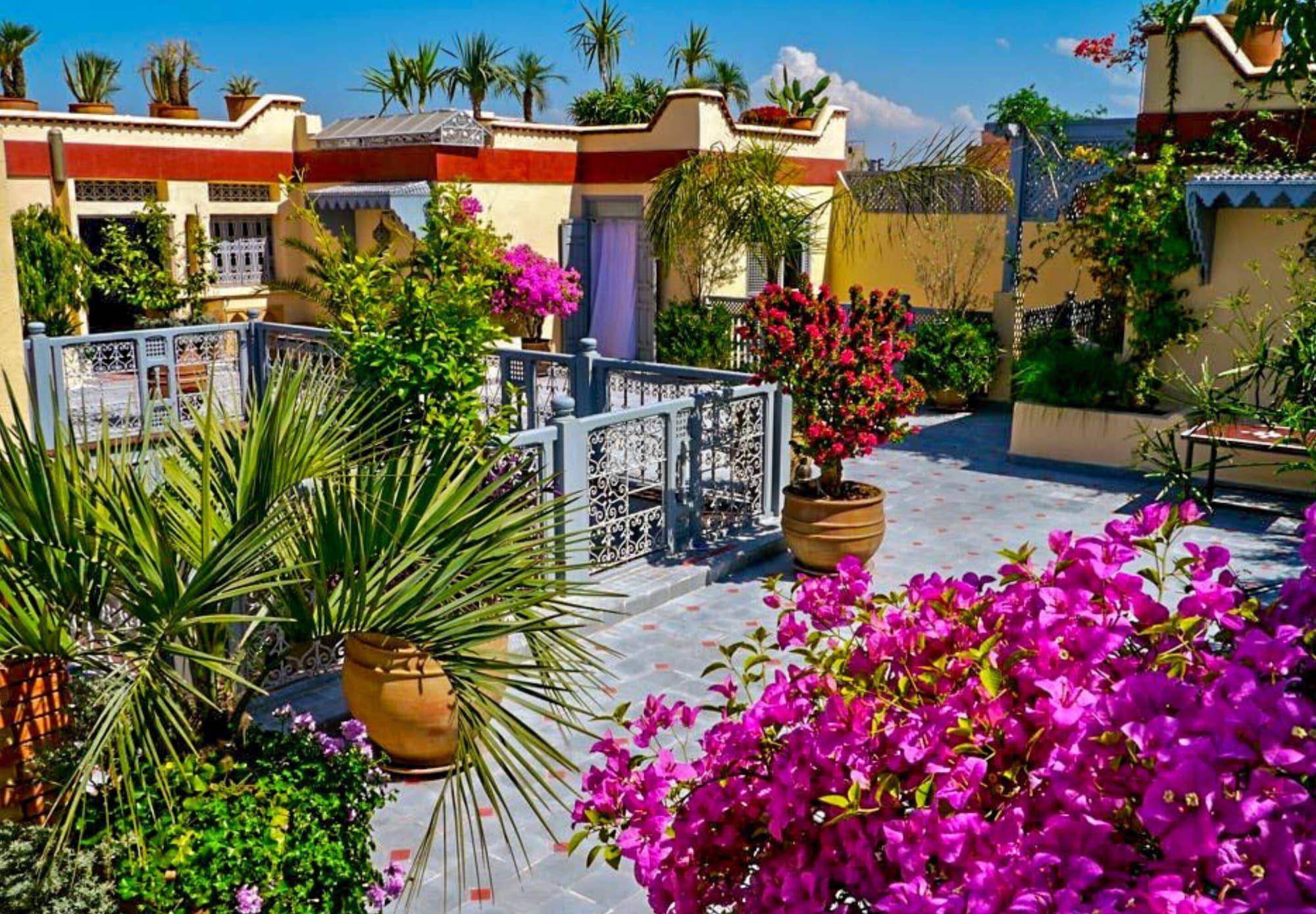 Riad Noos Noos & Spa 1
