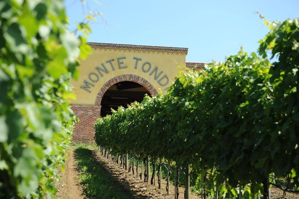 Monte Tondo Winery 1