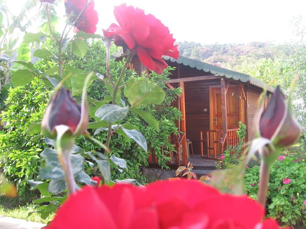 Ugur Pansiyon Bungalows 1