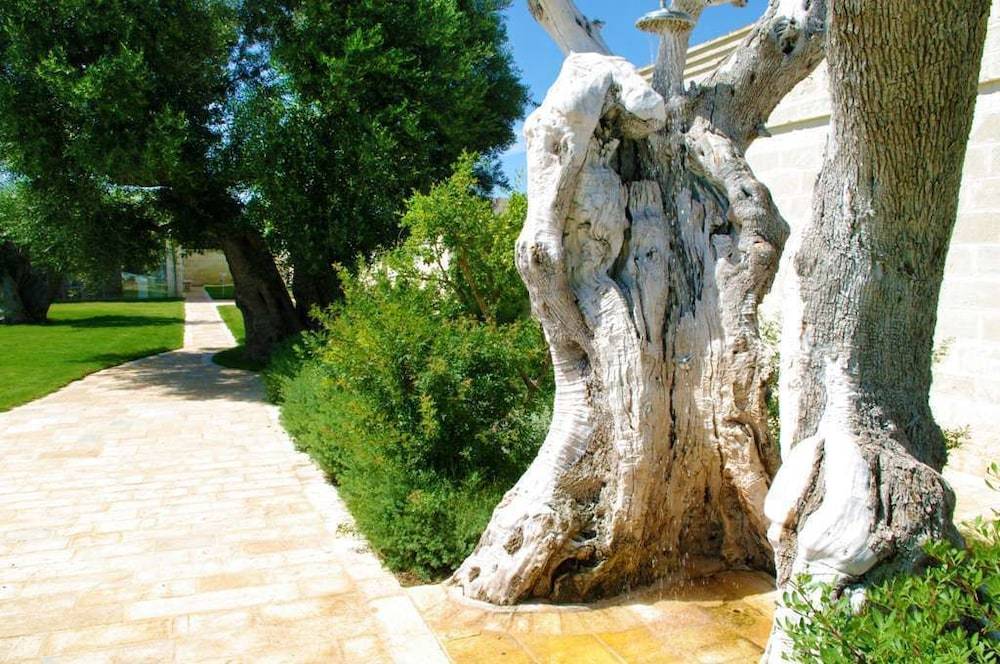 Masseria Torre Del Diamante 2