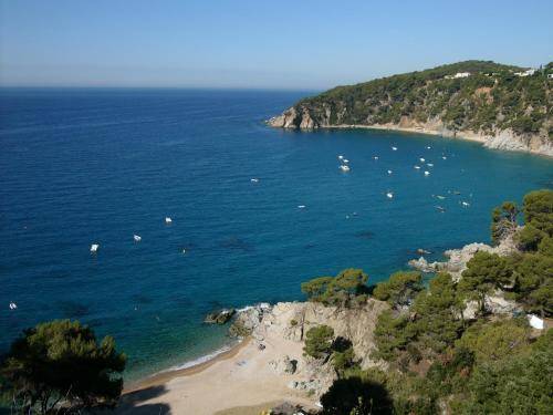 Apartamentos Cala Llevado 1