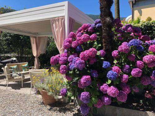 Hotel Antica Stallera 1