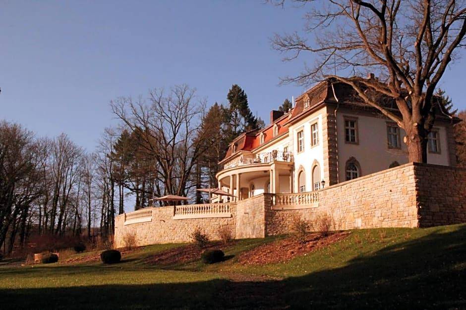 Hotel Villa Altenburg 2