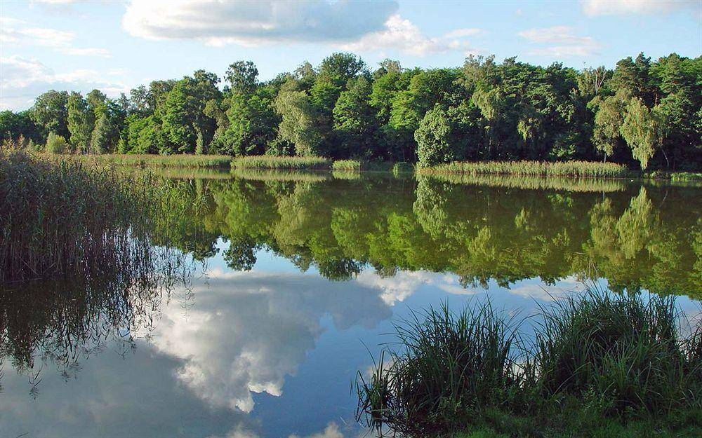 Hotel & SPA Sommerfeld - Adults Only 1