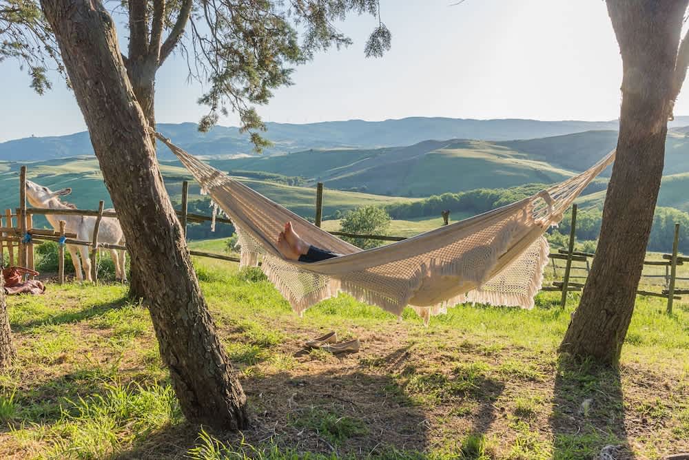 Agriturismo Fattoria Lischeto 1