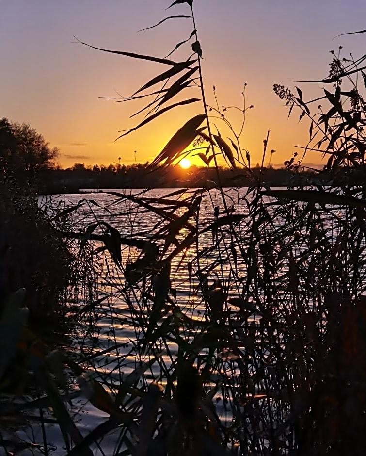 Seehotel Grunewald 1