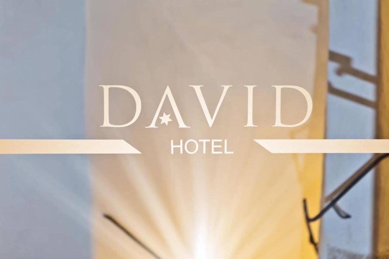 Hotel David an der Donau 2