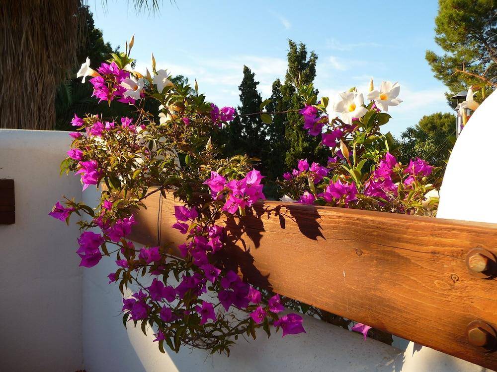 Apartamentos Osa Menor 1
