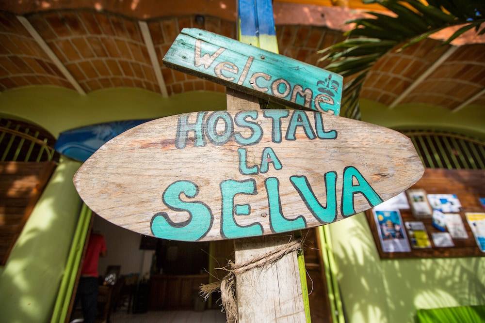 LA SELVA 2